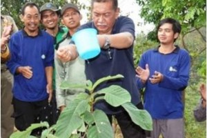Wagub Jabar saat menyiram pohon yang baru saja ditanamnya di KRK.